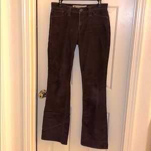 Gap Brown 🤎 Corduroy Pants (6L)